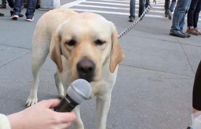 Performance Art 660X423