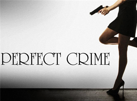 Perfect Crime